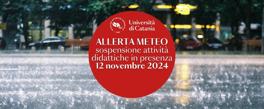 allerta meteo